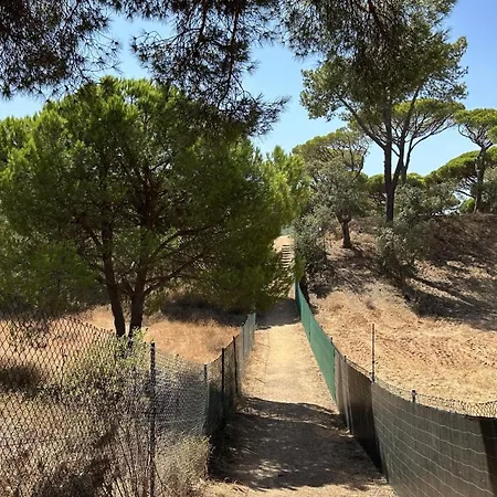 Pine Cliffs By Check-in Portugal אלבופיירה